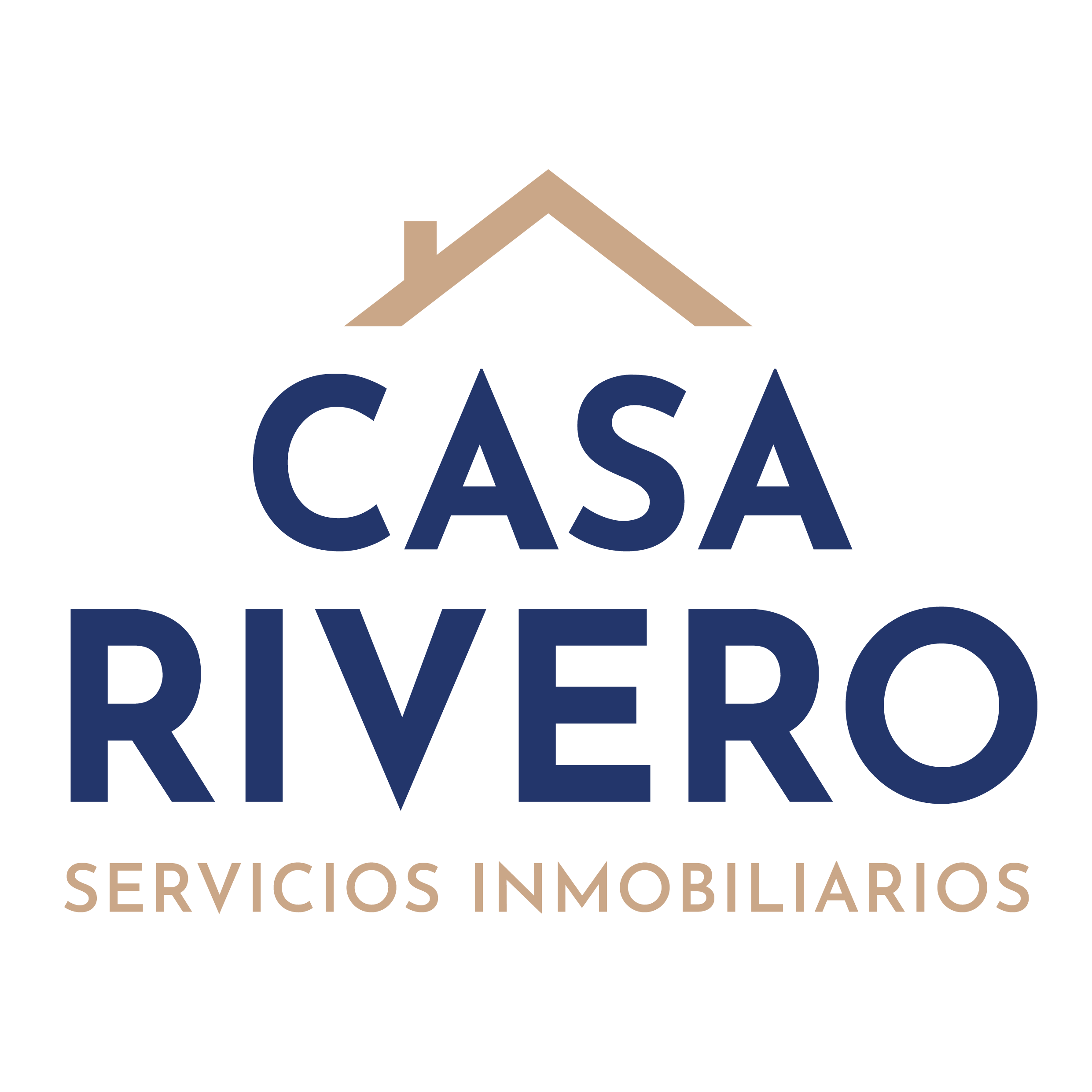 Página Home - Mantenimiento 1 - Website